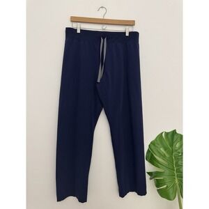 Figs Womens Livingston Basic Scrub Pants Size M Blue Nurse Medical